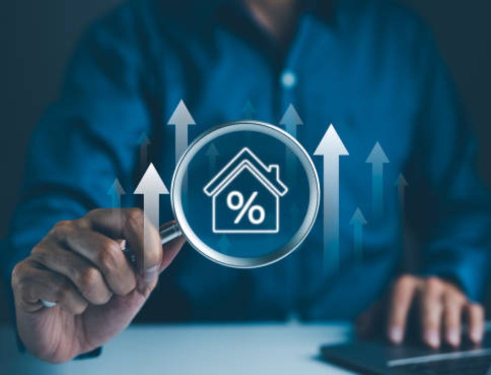 Expert Portfolio Management Services